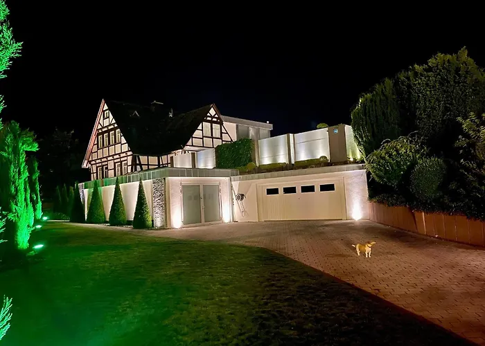 With Bar, Recreation In